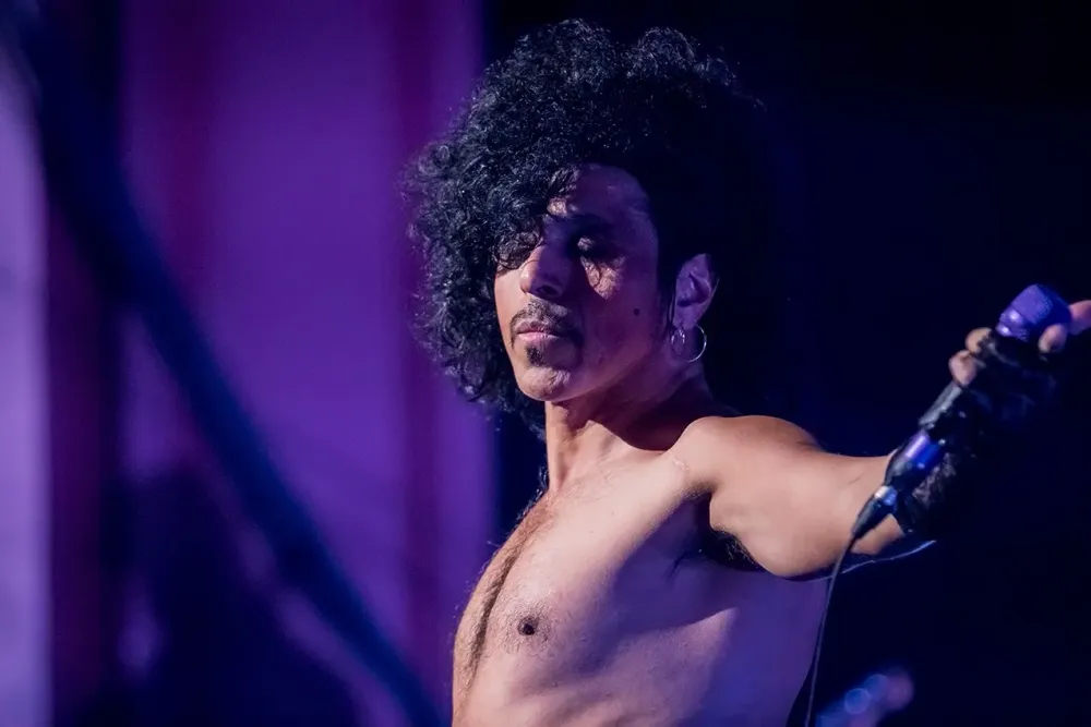 PRINCE tribute (United States), photo 2