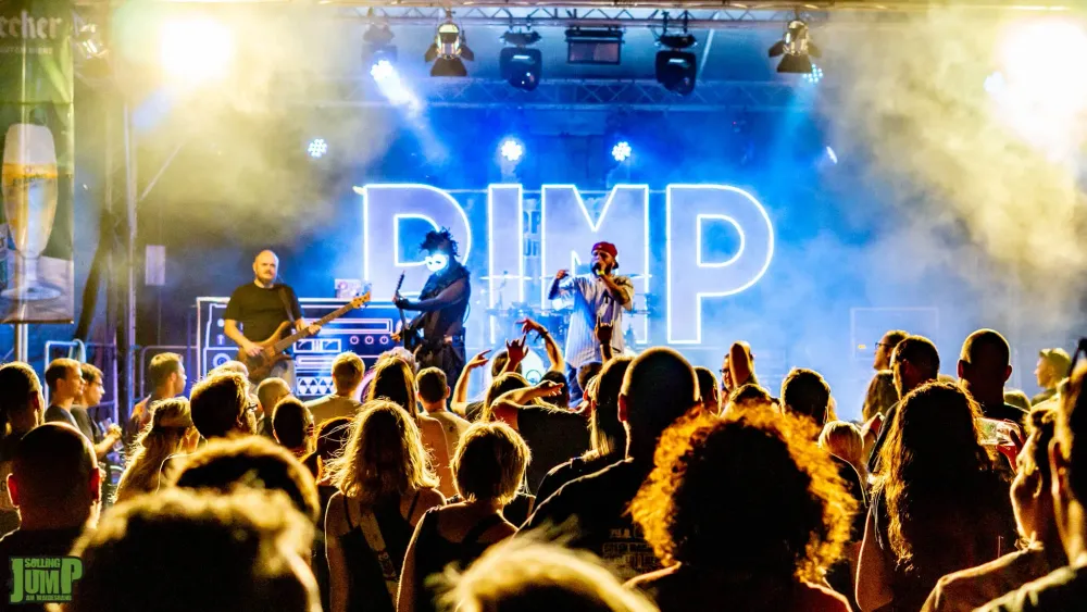 LIMP BIZKIT tribute (Germany), photo 4