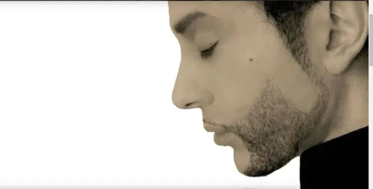 PRINCE tribute (United Kingdom), photo 3