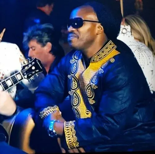 STEVIE WONDER tribute (United Kingdom), photo 2